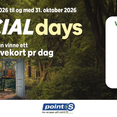 Special Days Bridgestone Point S Tyres